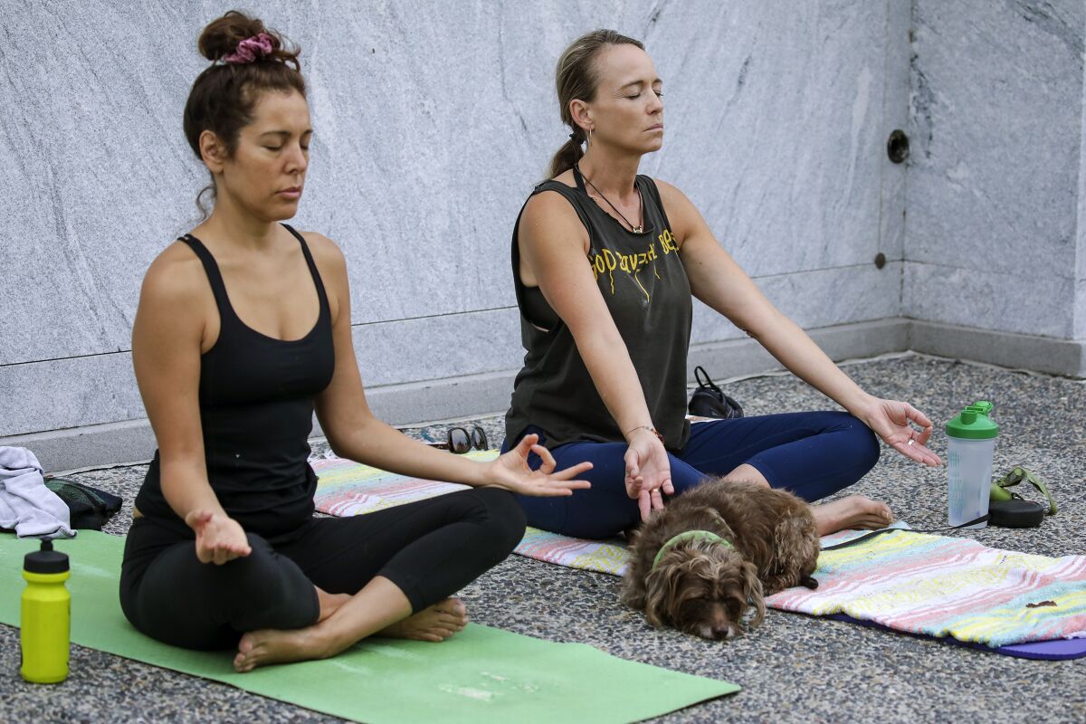 Two women on yoga mats meditate,  the one on the right with a small dog sleeping on it 
