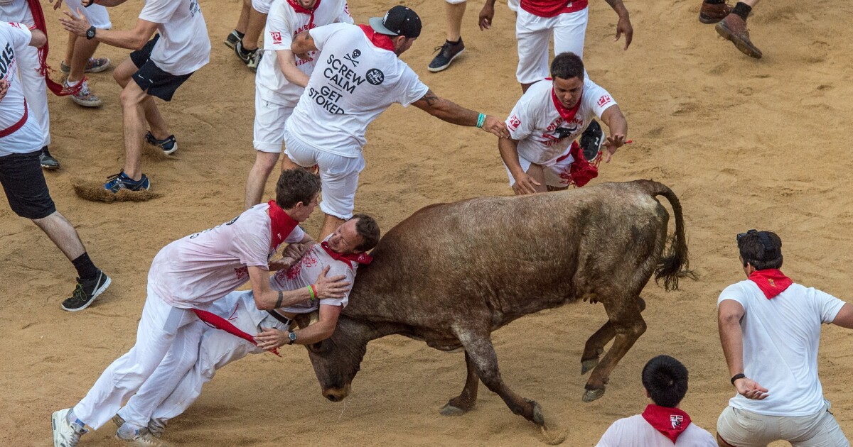 Running of the bulls at the San Fermin festival in Pamplona, Spain