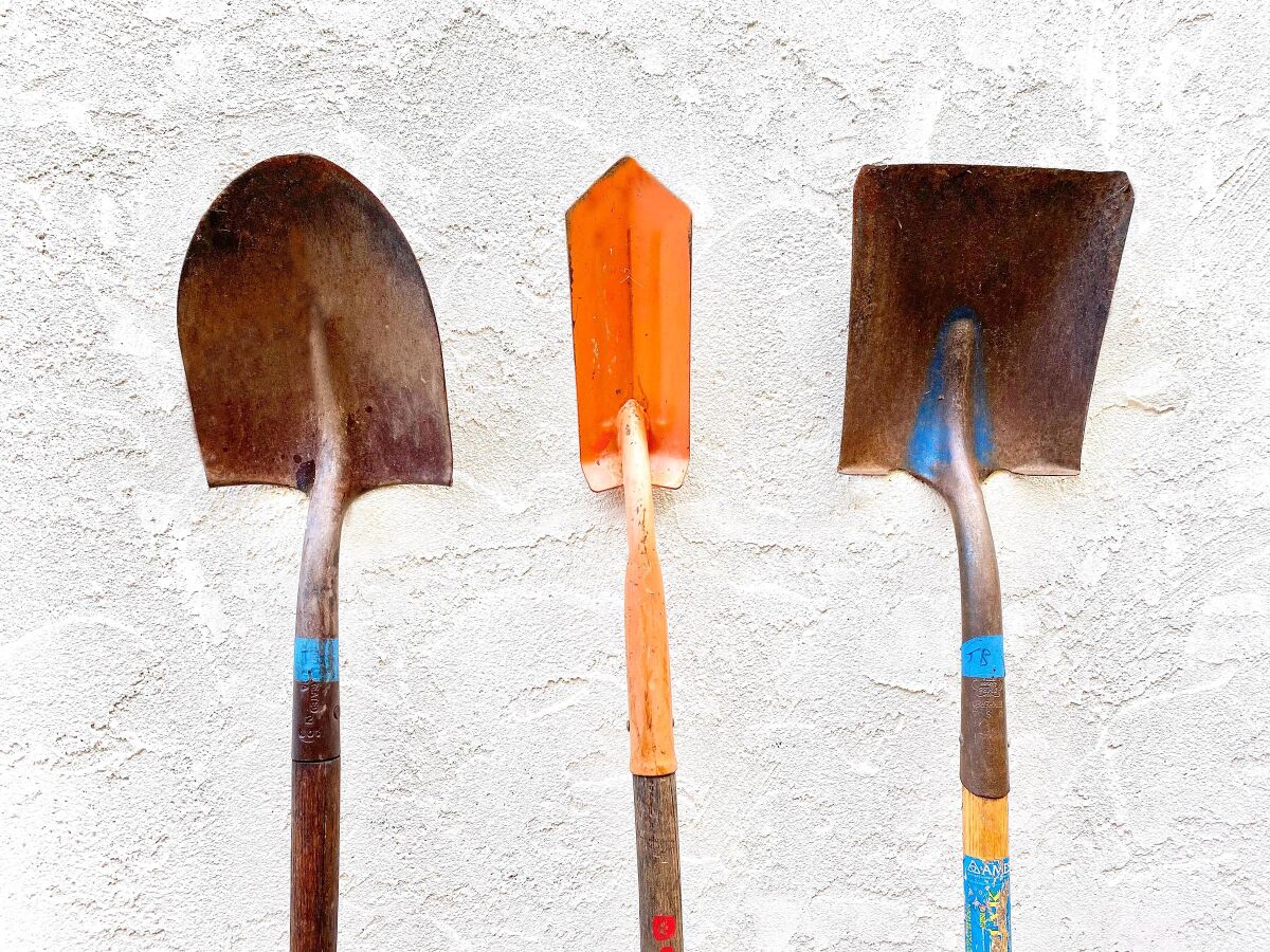 The three shovel types are (from left) rounded (spade), trenching and square point.