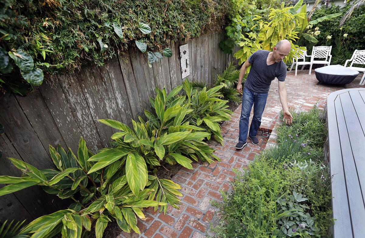 Cameron Clark's back patio in Santa Barbara is filled with bananas, guava, passion fruit, ginger and an herb garden, which are fed by water diverted from the washing machine.