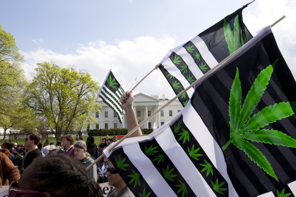 Demonstrators outside the White House waving flags picturing marijuana leaves.