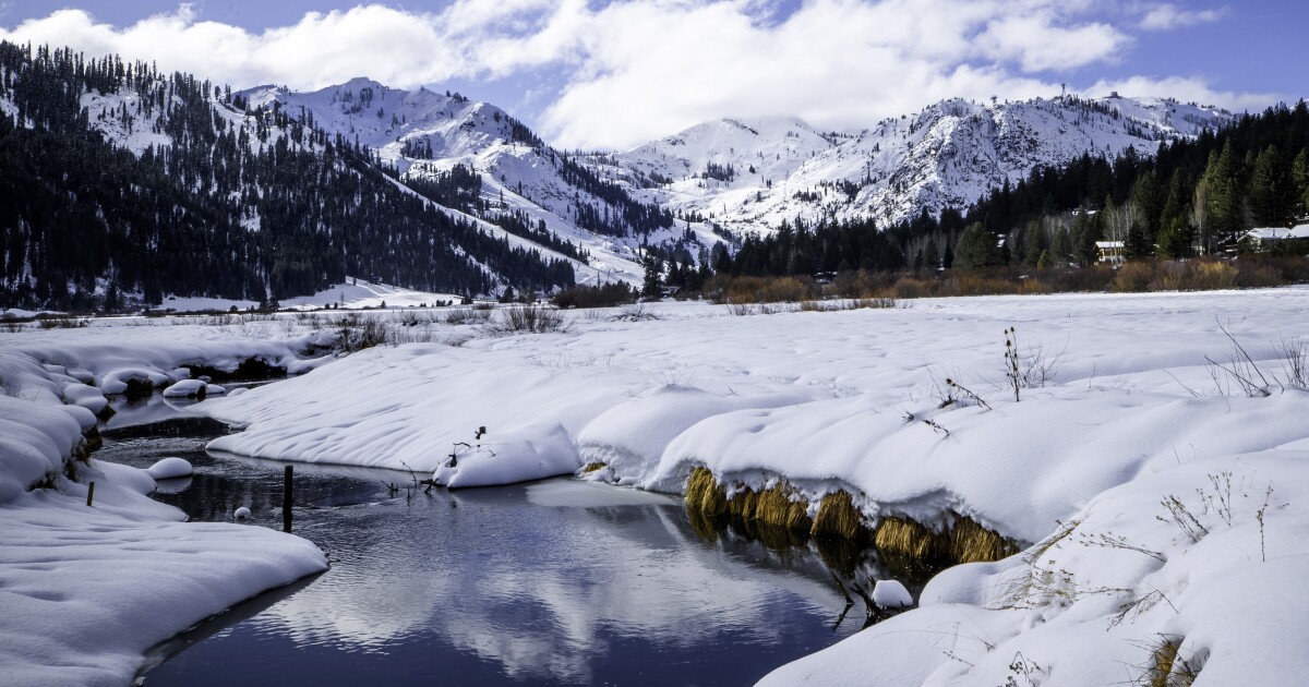 California snowpack at highest December level since 2015 - Los Angeles Times