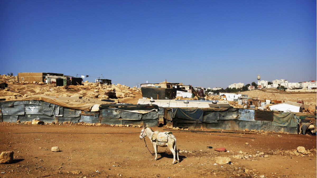 A donkey stands amid a cluster of shacks.