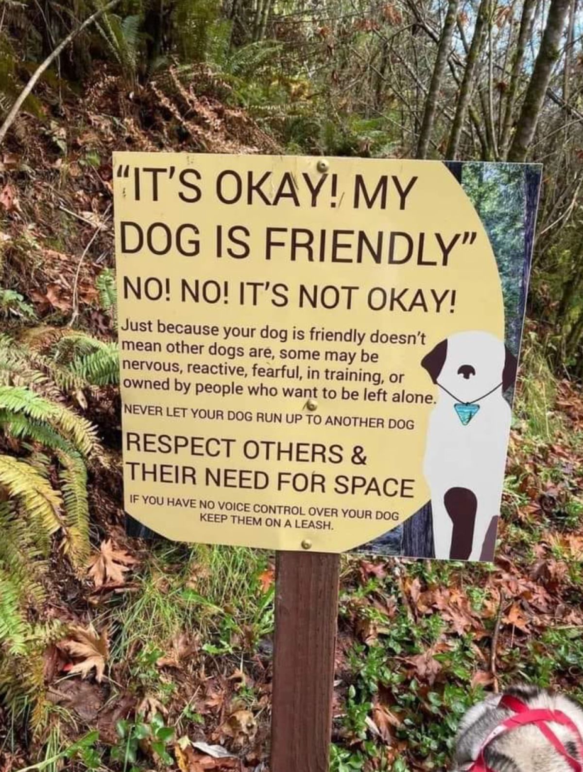 A sign asking dog owners to respect others, contributed by a Daily Pilot reader, stands in a forest setting.
