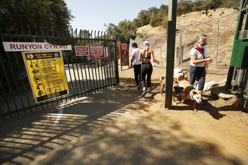 LOS ANGELES, CA - MAY 27: Hikers enter Runyon Canyon Park at the North entrance on Mulholland Drive in the Hollywood hills on Wednesday morning as the popular park has been reopened and is closely monitored by L.A. City person new under COVID-19 safety guidelines. Visitors are still required to wear masks at the park and people are instructed to walk in lanes with directional arrows trying to maximize social distancing. Hollywood on Wednesday, May 27, 2020 in Los Angeles, CA. (Al Seib / Los Angeles Times)