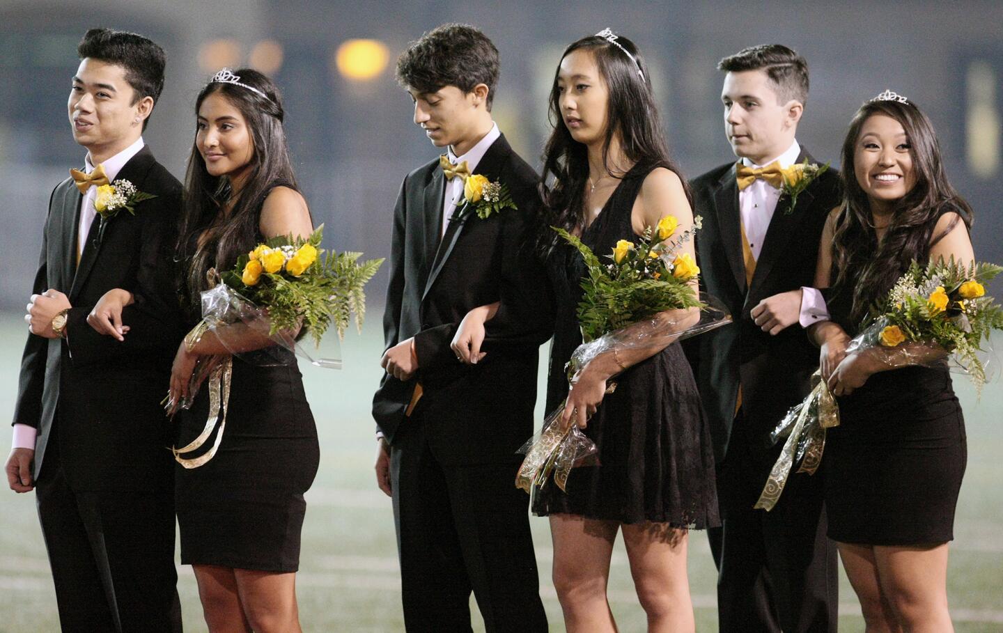 The St. Francis homecoming court lines up during halftime on Friday, October 30, 2015.