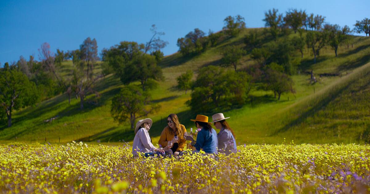 Spring in Paso: Where Wine Country Comes Alive (March–May)
