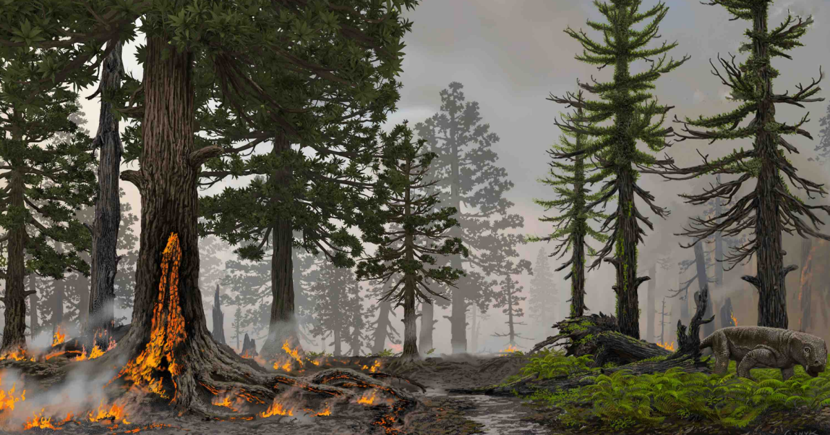 Les incendies de forêt rampants ont autrefois conduit à une extinction massive mondiale, selon les scientifiques.  Cela peut-il se reproduire ?
