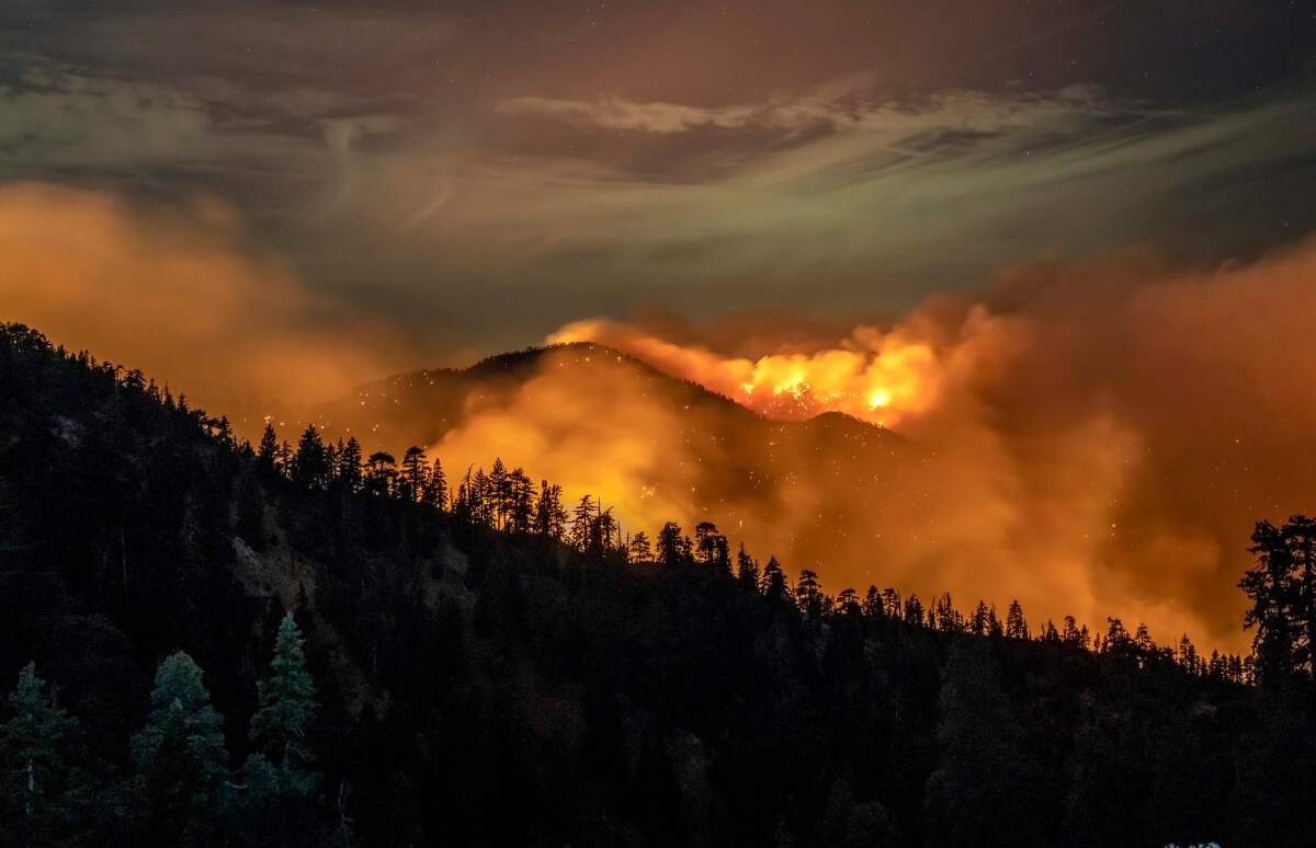 A wildfire seen from a distance