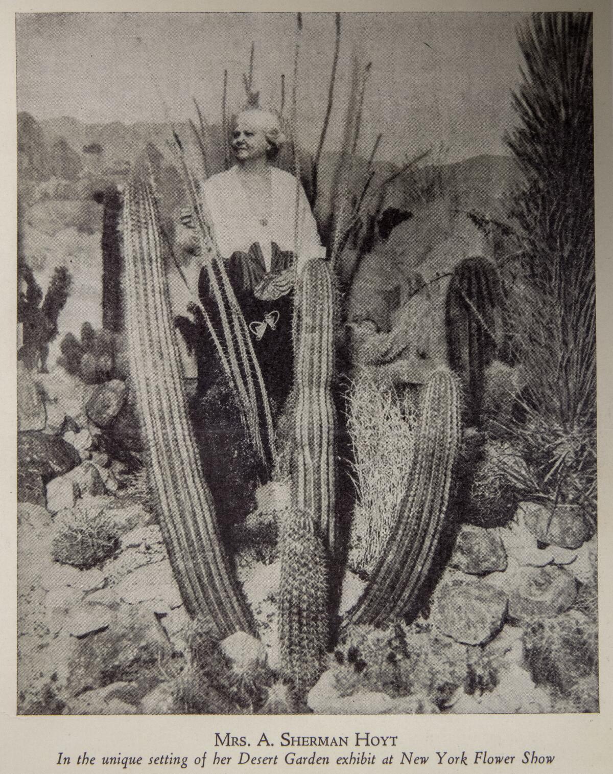 JOSHUA TREE NATIONAL PARK, CALIF. -- MONDAY, NOVEMBER 19, 2018: Copy photo of Minerva Hamilton Hoyt, from the December 1929-January 1930 edition of Western Woman magazine, from the park archive in Joshua Tree National Park, Calif., on Nov. 19, 2018. ( / Photo courtesy National Park Service)