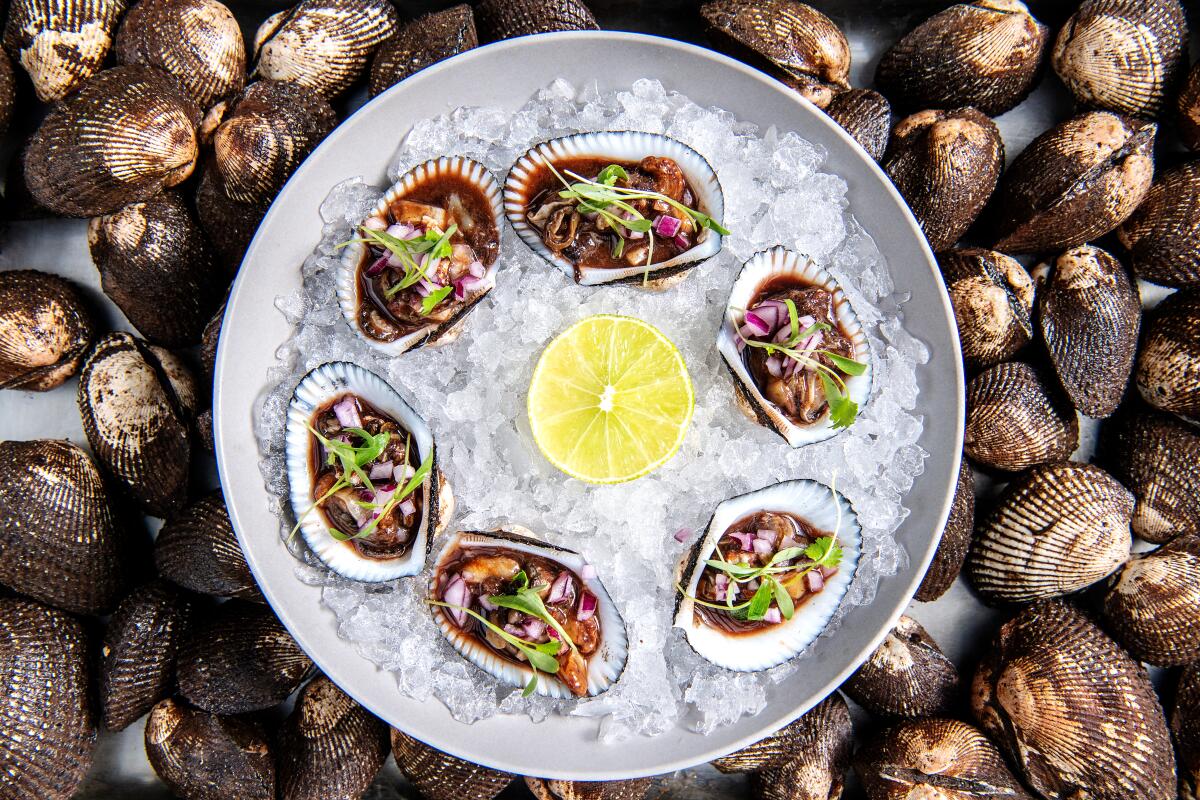 Baja California blood clams on the half shell with morita sauce, lime and red onion from Holbox.