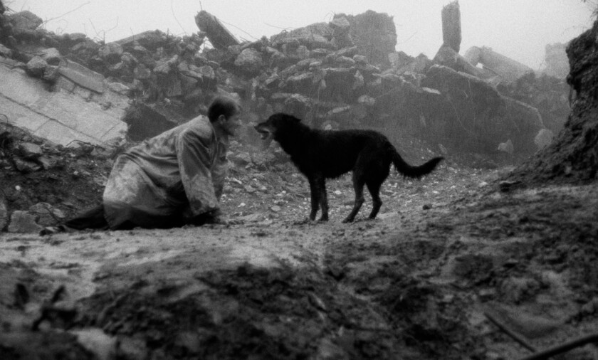 In a scene from "Damnation," a man leans on the ground amid piles of rubble, looking into the face of a dog.