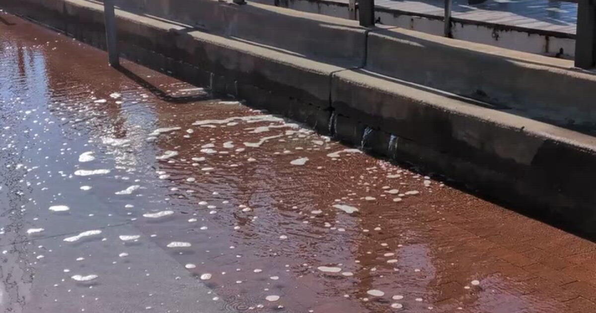 Medication Cal Water leaks through Naples sea wall in Long Beach - Los Angeles Times