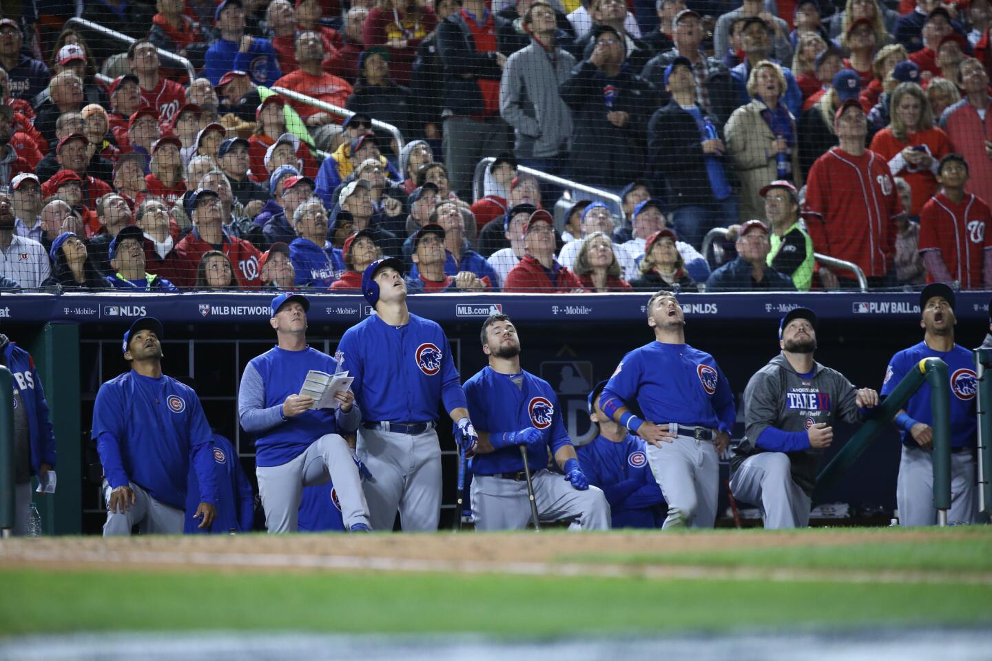 ct-nlds-game-5-cubs-at-nationals-photos-201710-041
