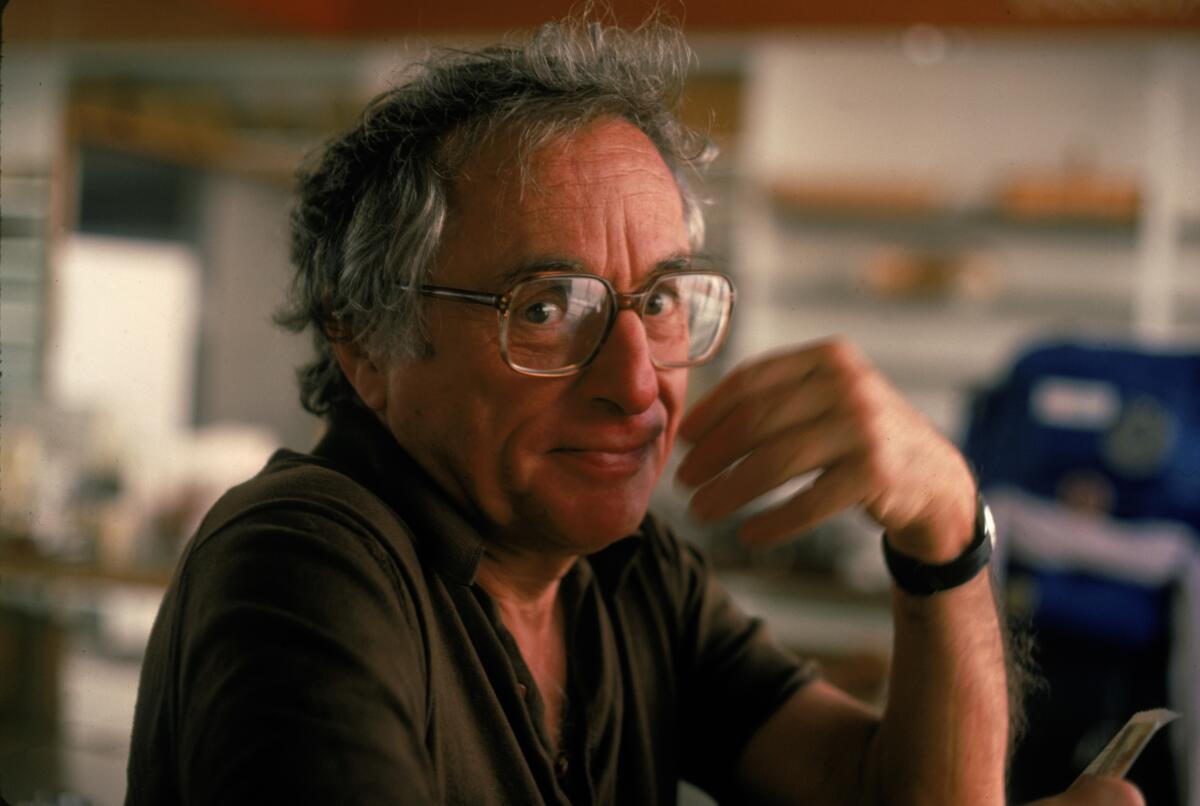 A 1983 portrait of screenwriter and director Walter Bernstein.