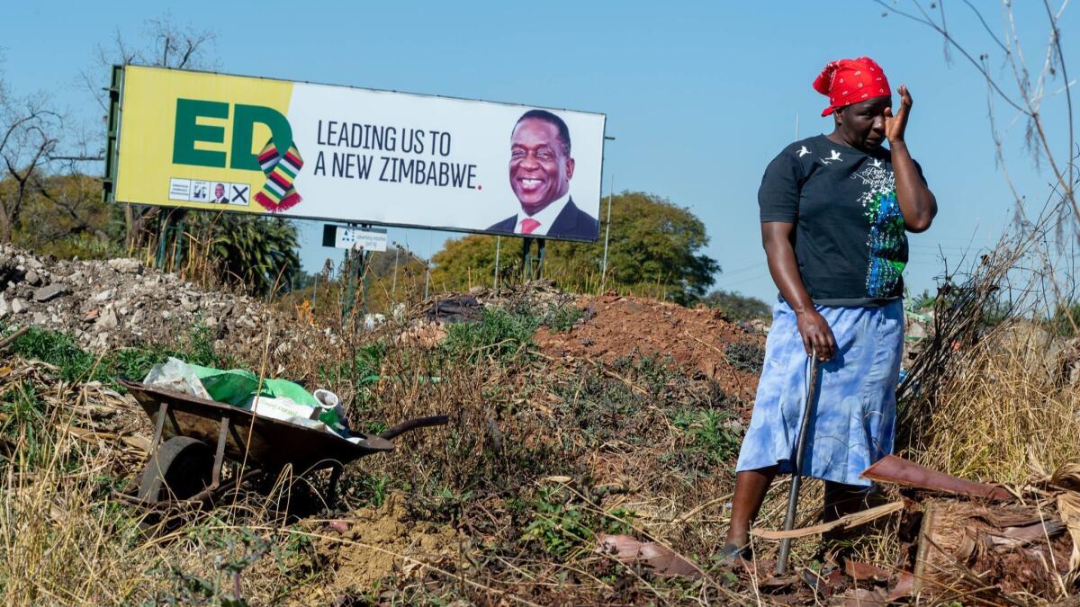 A woman farms potatoes in front of a billboard promoting President Emmerson Mnangagwa and his ZANU-PF party in Harare, Zimbabwe.