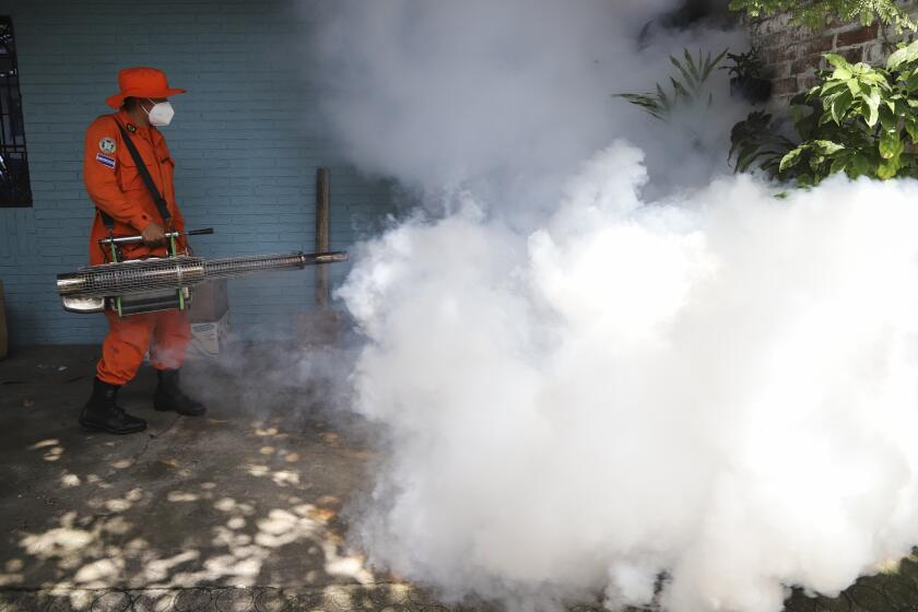 ARCHIVO - Un trabajador fumiga el patio de una casa para controlar la propagación de enfermedades transmitidas por mosquitos, el 4 de julio de 2024, en Los Santos, un vecindario en Soyapango, El Salvador. (AP Foto/Salvador Meléndez, Archivo)