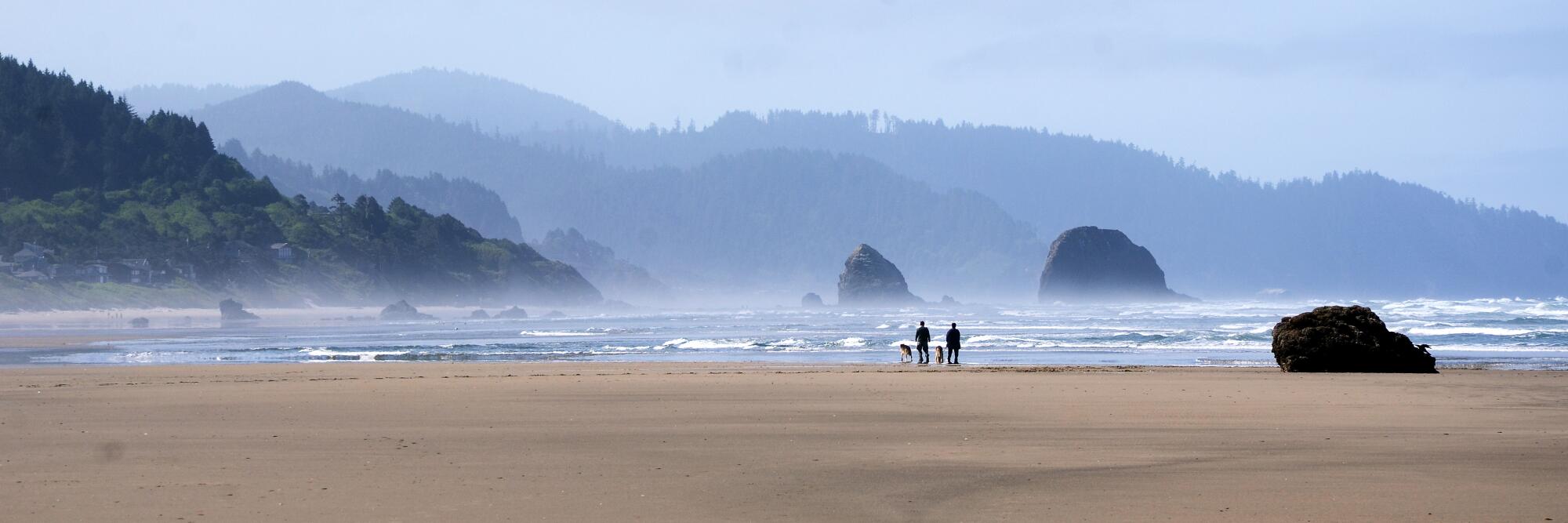 Cannon Beach, Ore., with two people and two dogs on the sand near waves, big rocks and tree-covered hills.