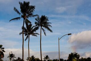 A faint rainbow appears to emanate from a street light before the arrival of a motorcade carrying President Barack Obama to the gym, Wednesday, Dec. 31, 2014, from his rental home in Kailua, Hawaii during the Obama family vacation. (AP Photo/Jacquelyn Martin)