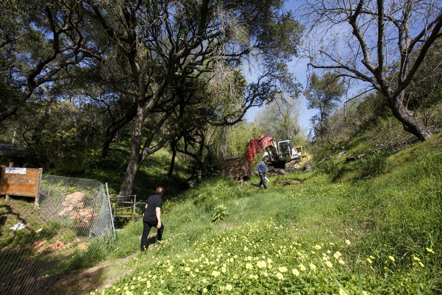 Developer Sam Shakib, left, walks on his land on the 1800 block of Old Ranch Road. Shakib and his partner are in trouble for cutting down three trees that they promised to protect as part of this $10-million development in Brentwood.