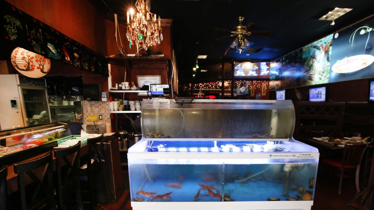 Live fish tanks at Koreatown’s Chung Hae Jin compete for space with tables.