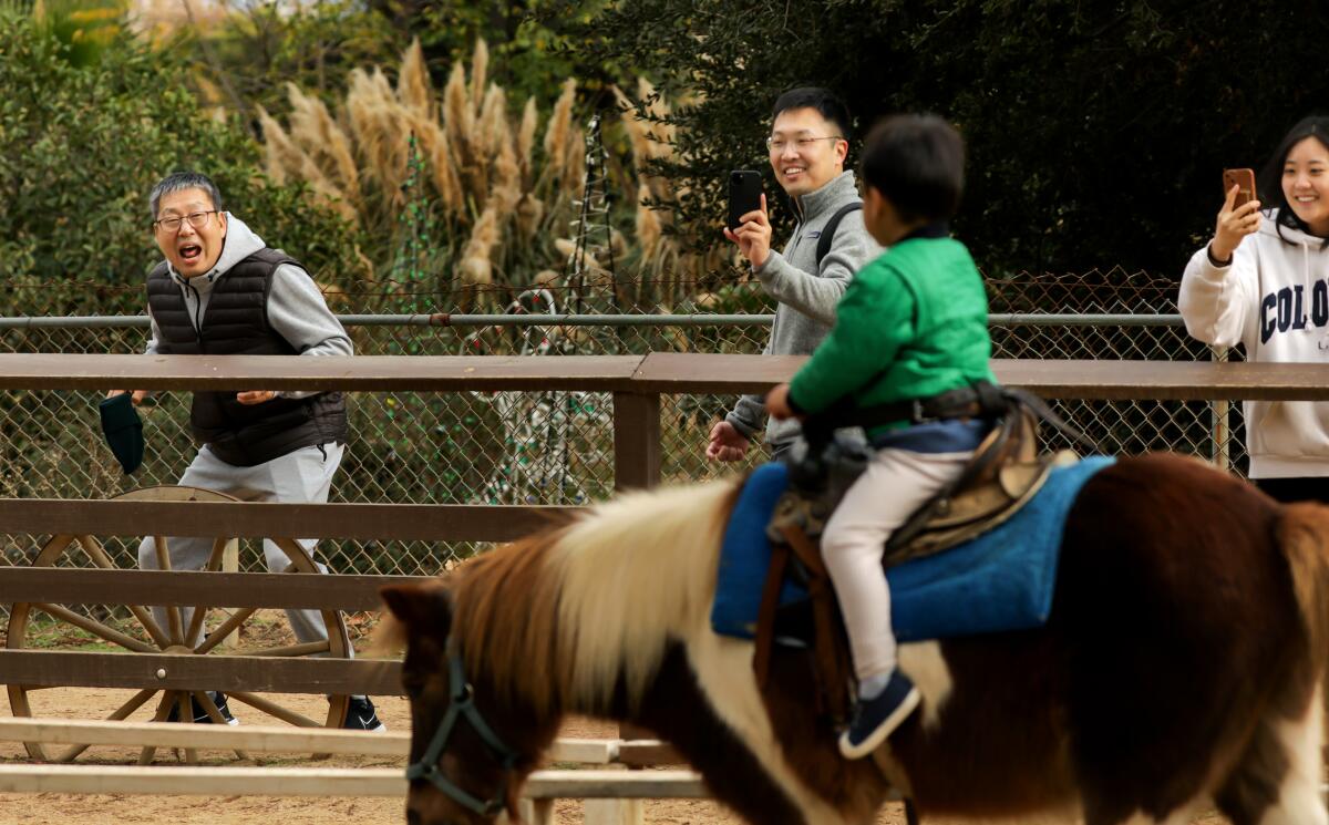 A grandfather and father watch a child ride a pony