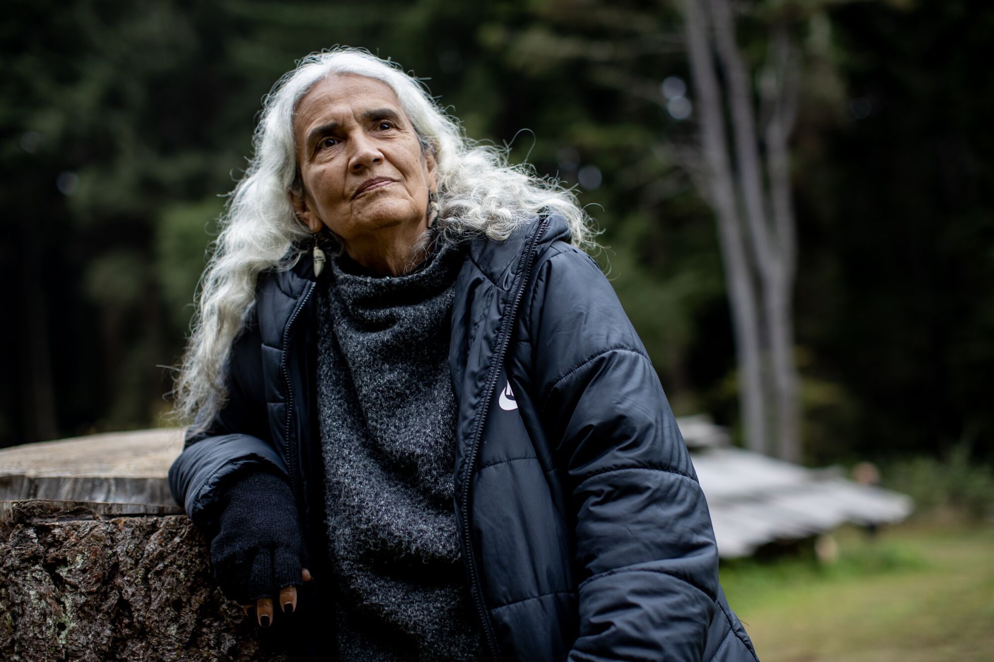 Yurok Chief Judge Abby Abinanti leans against a tree stump