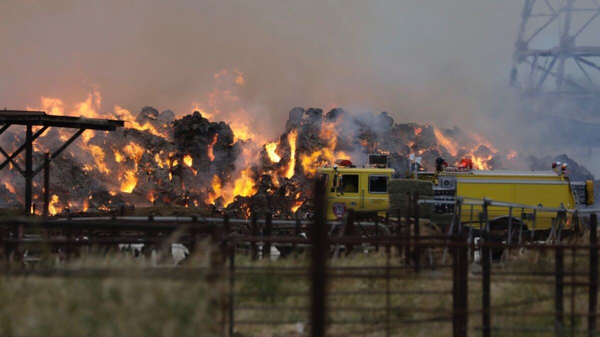 Firefighters on Wednesday continued to battle a massive hay fire that erupted overnight at a Chino dairy farm.