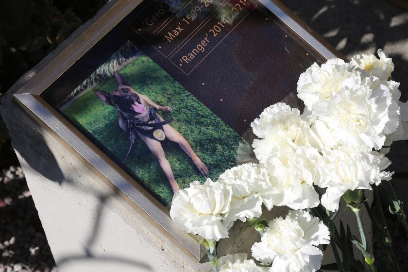 The Laguna Beach Police Department's annual fallen officer remembrance ceremony included a new K-9 memorial on Tuesday. This year's memorial added the LBPD's fallen K-9 units included Ranger, the department's most recent K-9, and Gero and Max.