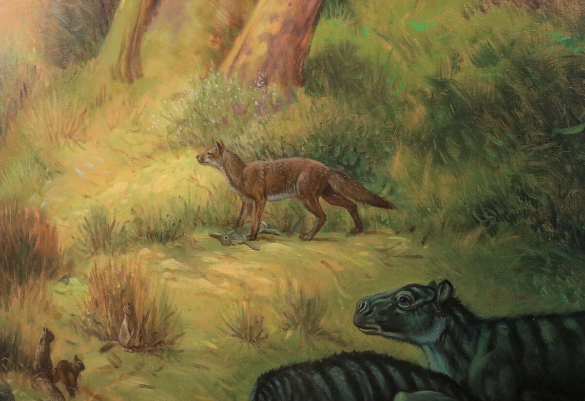 This painting at the San Diego Natural History Museum shows what the Archeocyon canid would have looked like