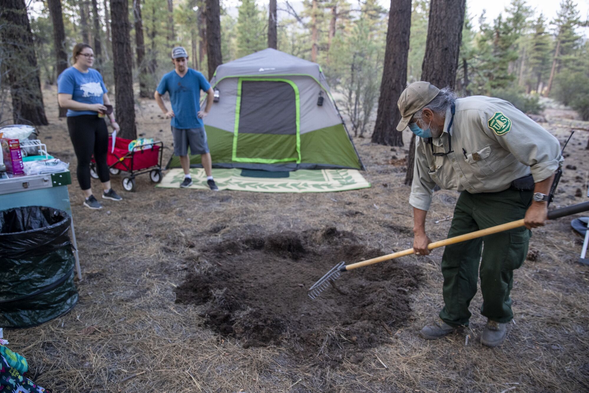 Forest protection officer Chon Bribiescas, right, remove needles as campers Coree, left, and Andrew Dewlaney watch.