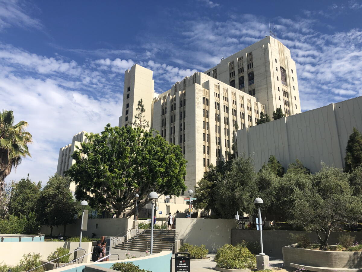 Hostbitol Building What General Hospital, the 'Great Stone Mother,' means to LA - Los ...