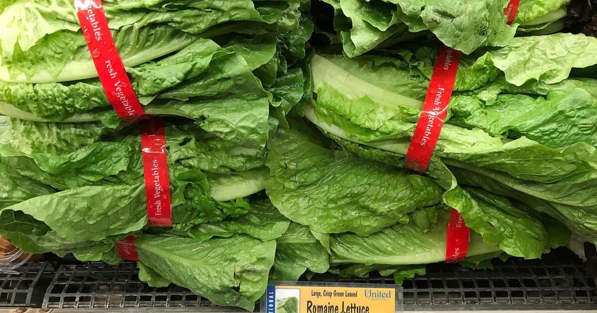 FDA romaine lettuce recall E coli. outbreak traced to California The