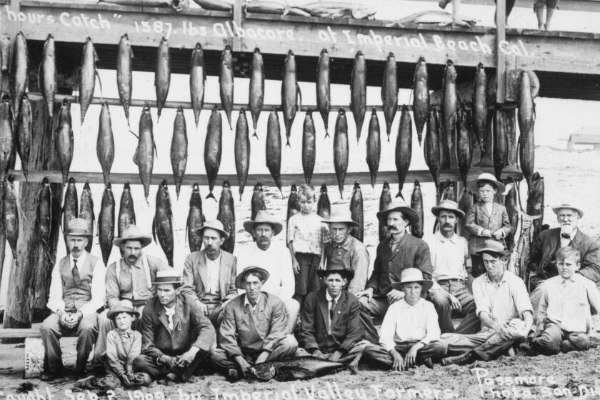 One b/w film negative. Farmers in Imperial Beach with a catch of albacore in 1909..