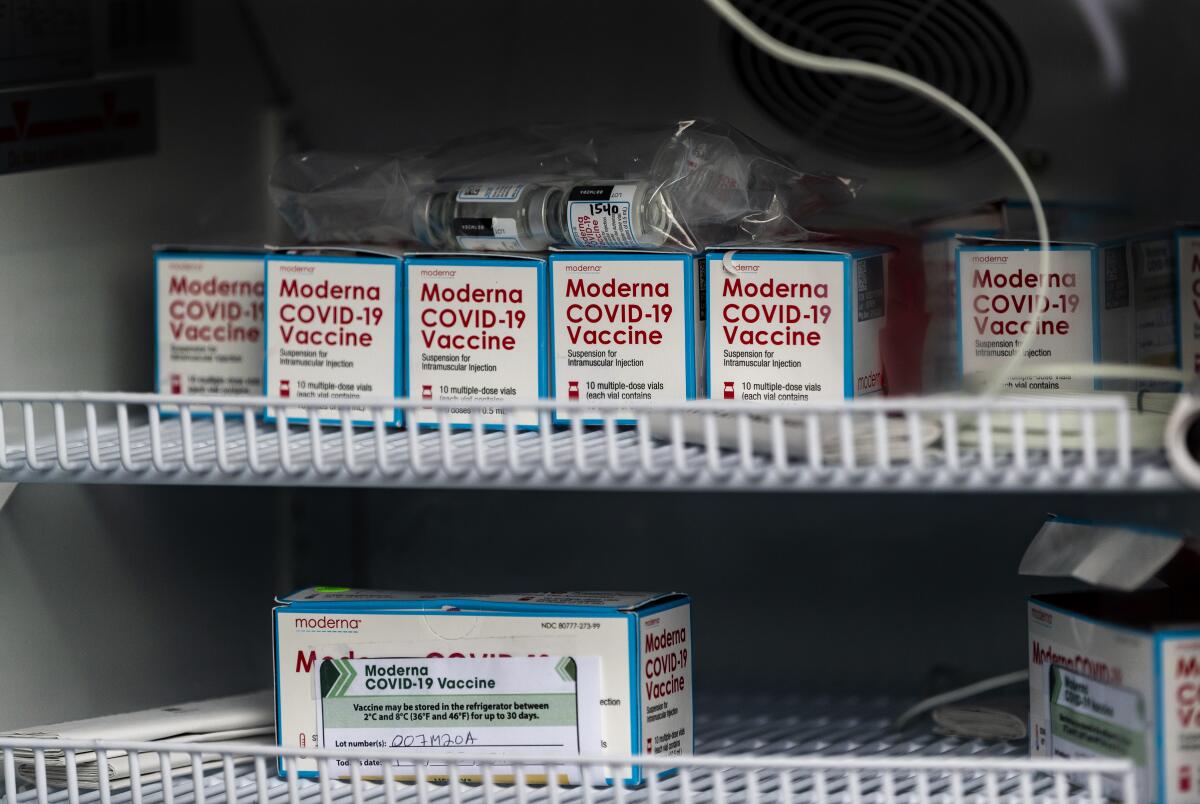 Vials of the Moderna COVID-19 vaccine in a refrigerator 