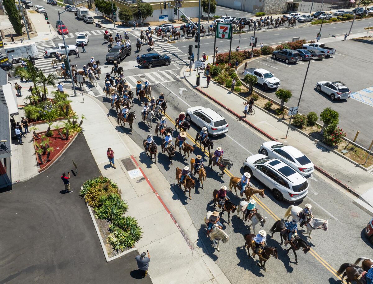 An overhead shot shows a long procession of horseback riders on a city street sharing space with car drivers.