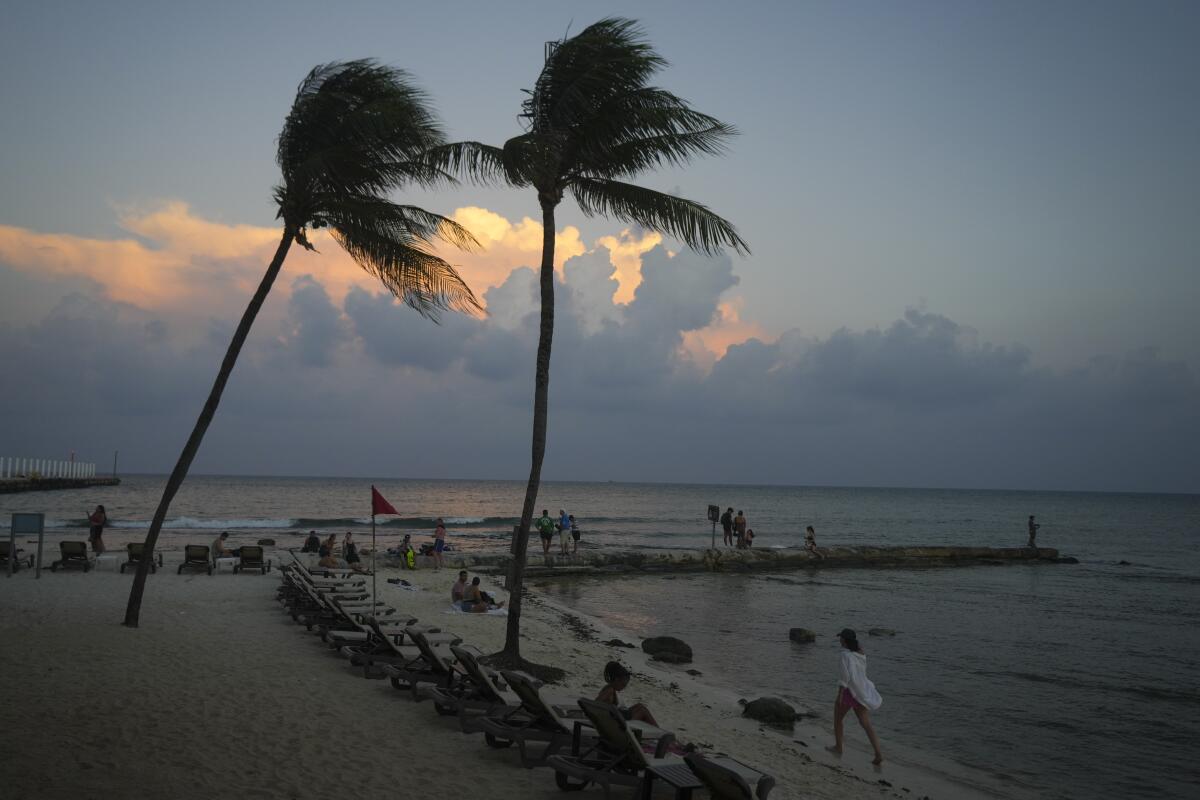 Palm trees sway with clouds along the horizon as people lounge on a beach.