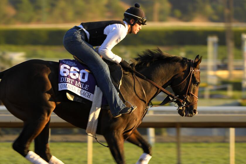 Omaha Beach, entered in the Dirt Mile horse race, works out on the track at Santa Anita Park for the Breeders' Cup, Thursday, Oct. 31, 2019, in Arcadia, Calif. (AP Photo/Mark J. Terrill)