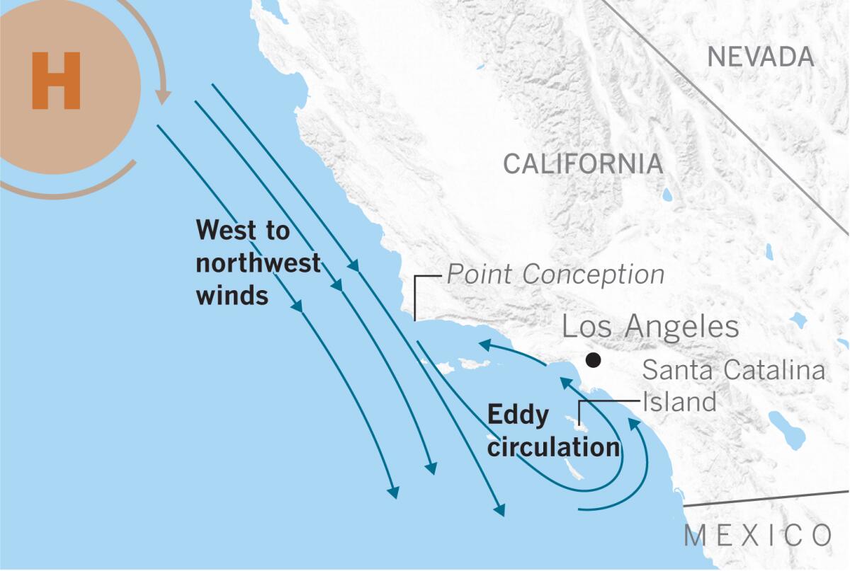 Winds along the California Coast cause eddy formation.