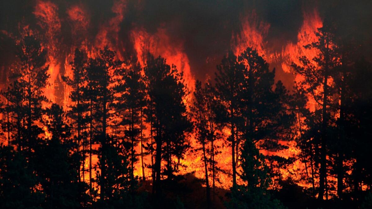 A wildfire burns in July near the historic mining town of Landusky, south of the Fort Belknap Indian Reservation in north-central Montana. Montana's worst fire season in years is expected to scorch the drought-stricken landscape well into fall.