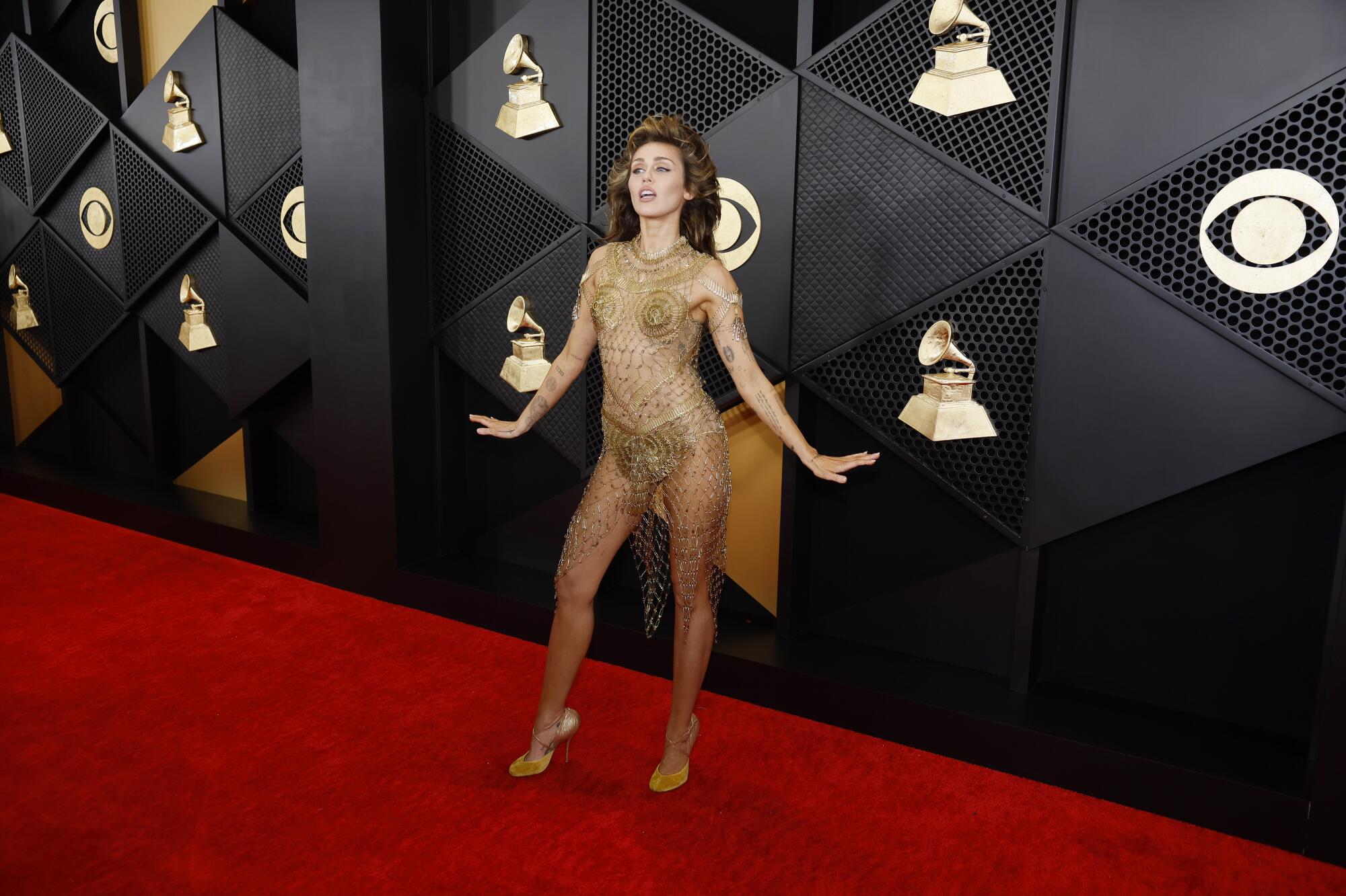 2024 Grammys Red Carpet Trend: Sheer Dresses