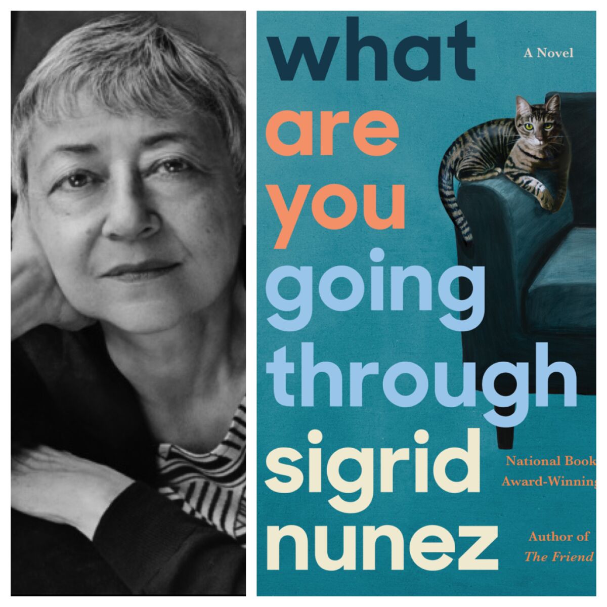 The author Sigrid Nunez and her book "What Are You Going Through."