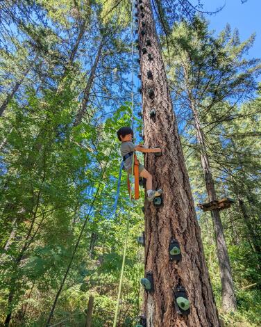 A child climbing a tree auto-belay device.