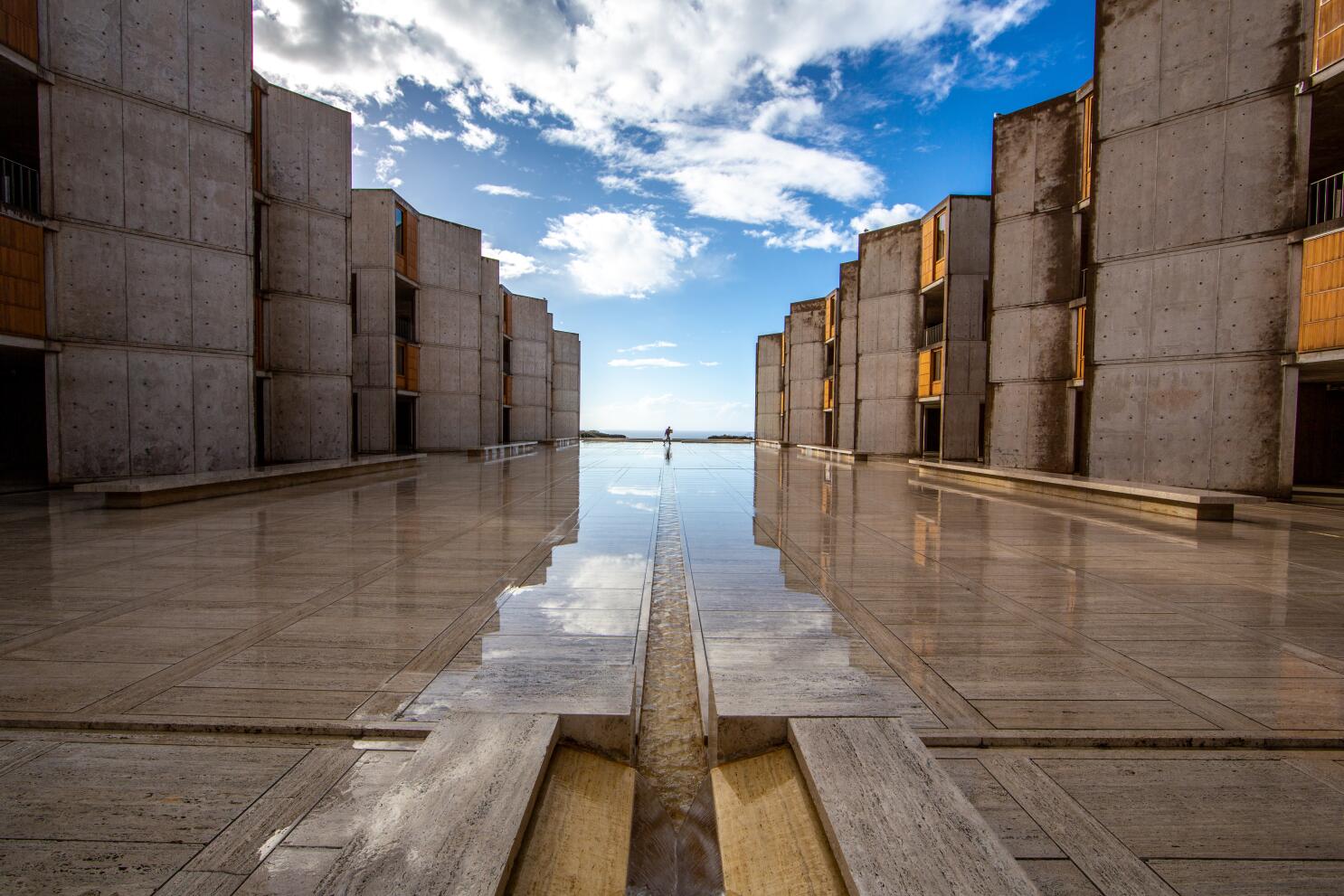 Donate Now  Harnessing Plants Initiative by Salk Institute