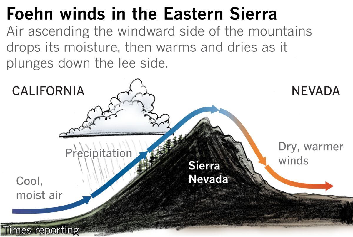 The winds that fed the Mountain View fire.