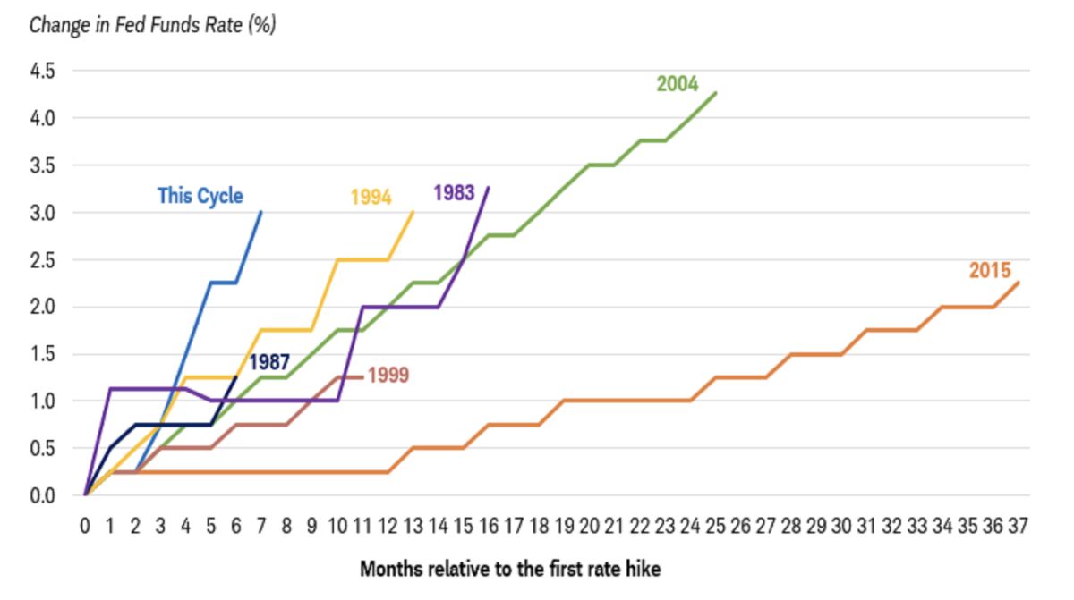 A chart showing lines representing rate hikes in different years