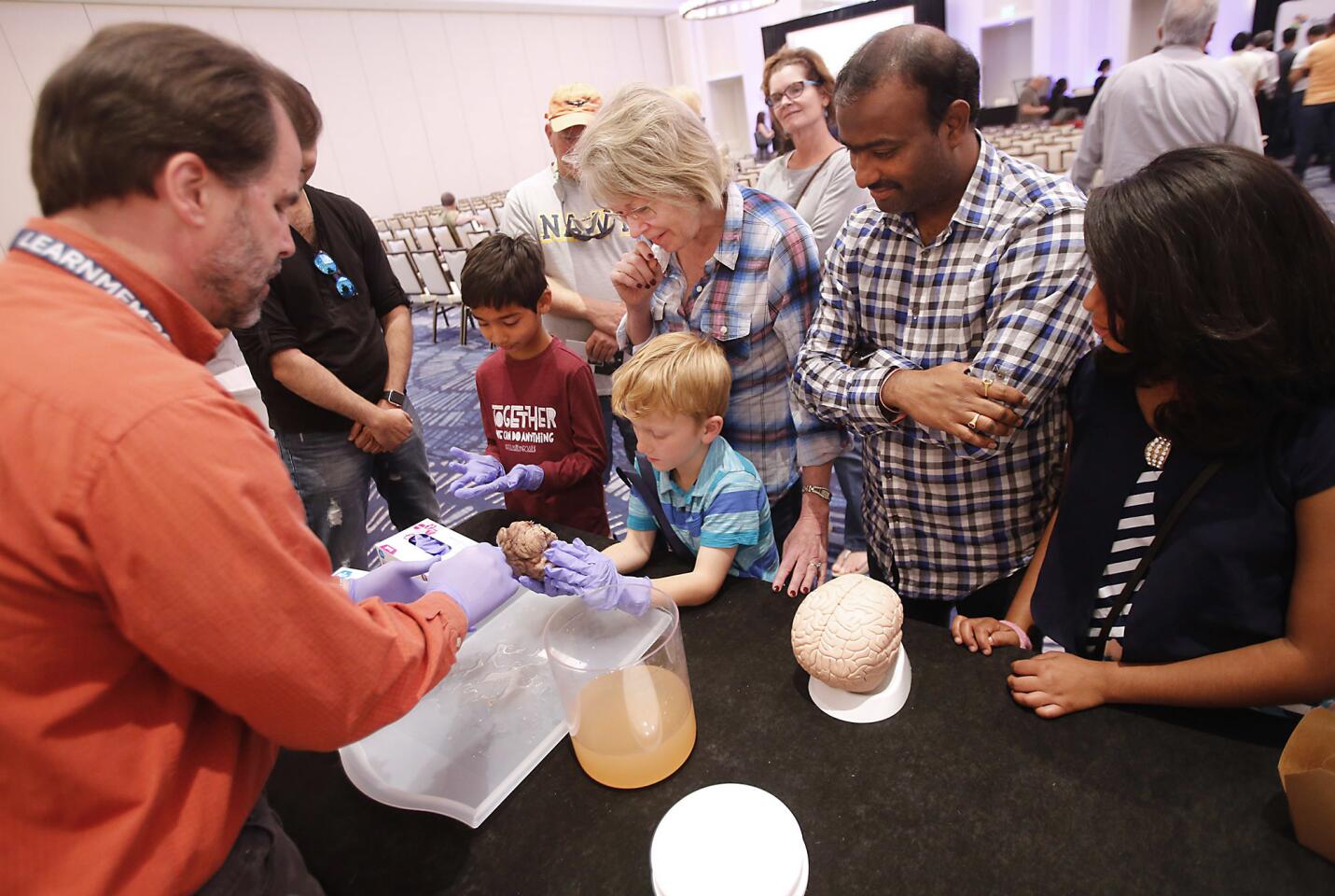 Caleb Goss, 7, with his grandmother Shirley Furman, gets a look at a real human brain Saturday during the International Conference on Learning and Memory at the Waterfront Beach Resort in Huntington Beach.