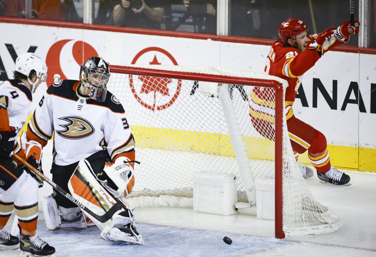 Anaheim Ducks goalie John Gibson, left, reacts as Calgary Flames' Elias Lindholm celebrates his goal during the second period of an NHL hockey game Wednesday, Feb. 16, 2022 in Calgary, Alberta. (Jeff McIntosh/The Canadian Press via AP)