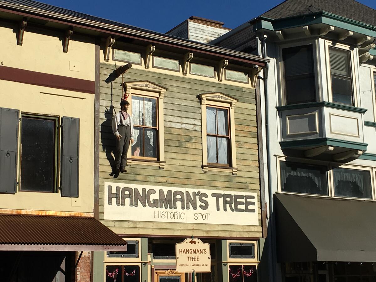 A mannequin hangs from the Hangman's Tree Historic Spot in Placerville, Calif. 