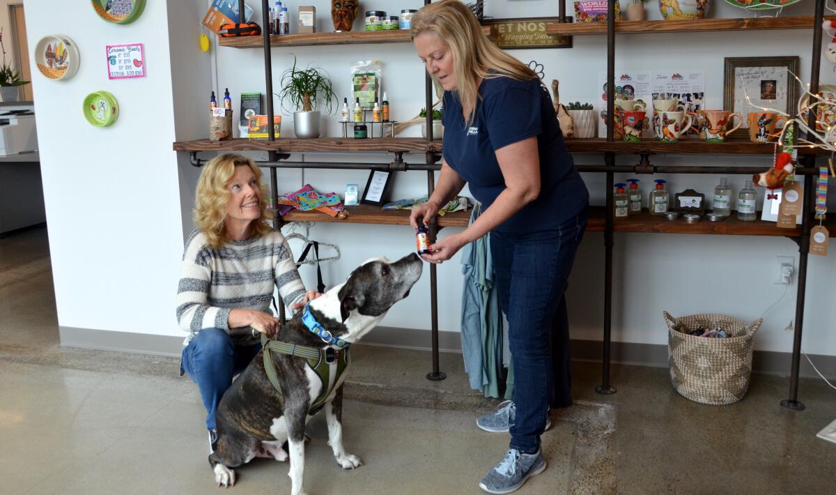 Barb West, right, explains about the use of CBD oil to help calm a pet’s anxiety.